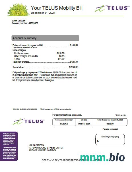 Szablon rachunku za media Canada Telus w formatach Word i PDF, Wersja 2